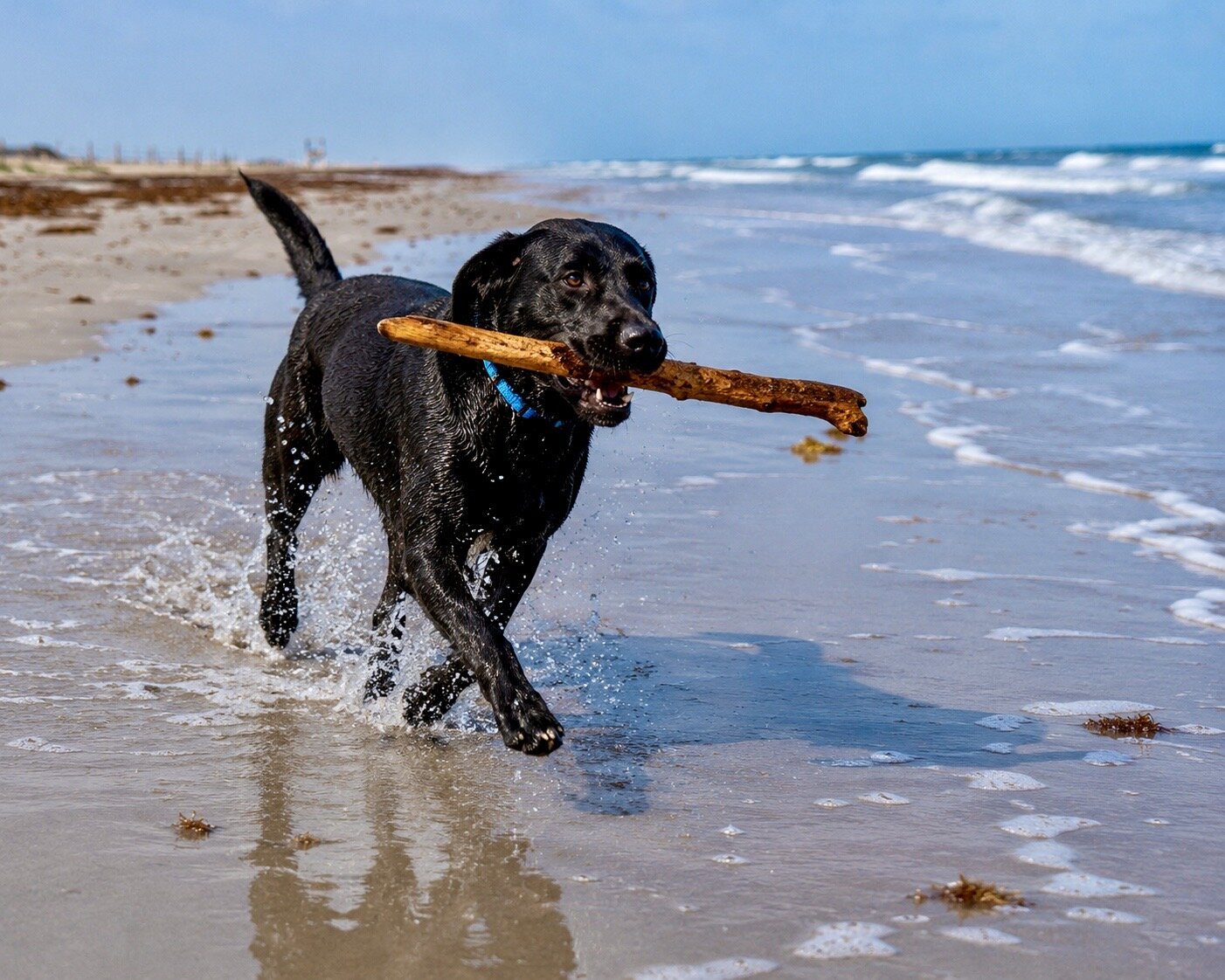 Three Walks with Pipes
